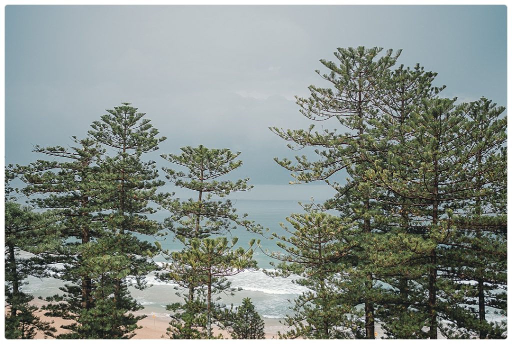 photo-wedding-manly-beach-australia