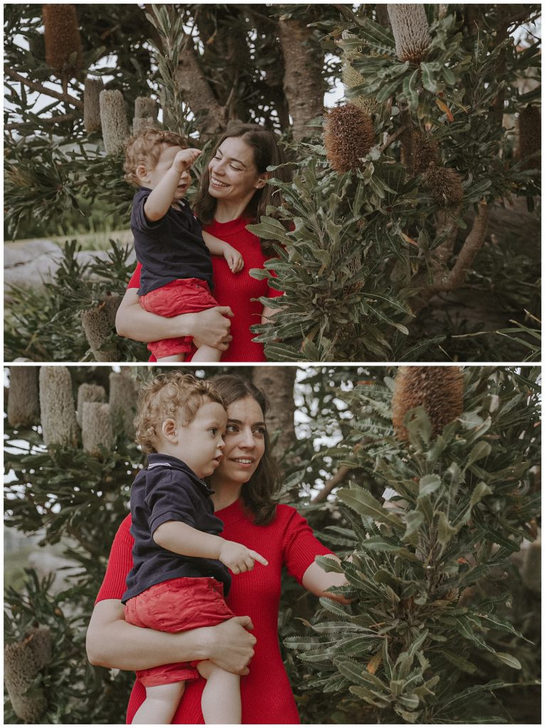 mother-showes-banksia-leaves-to-the-son-photo