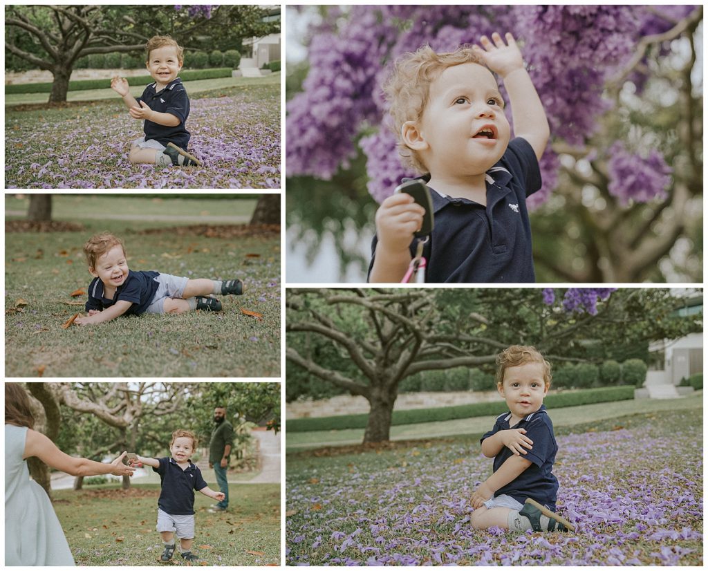 a-boy-plays-with-jacaranda-flowers-photo