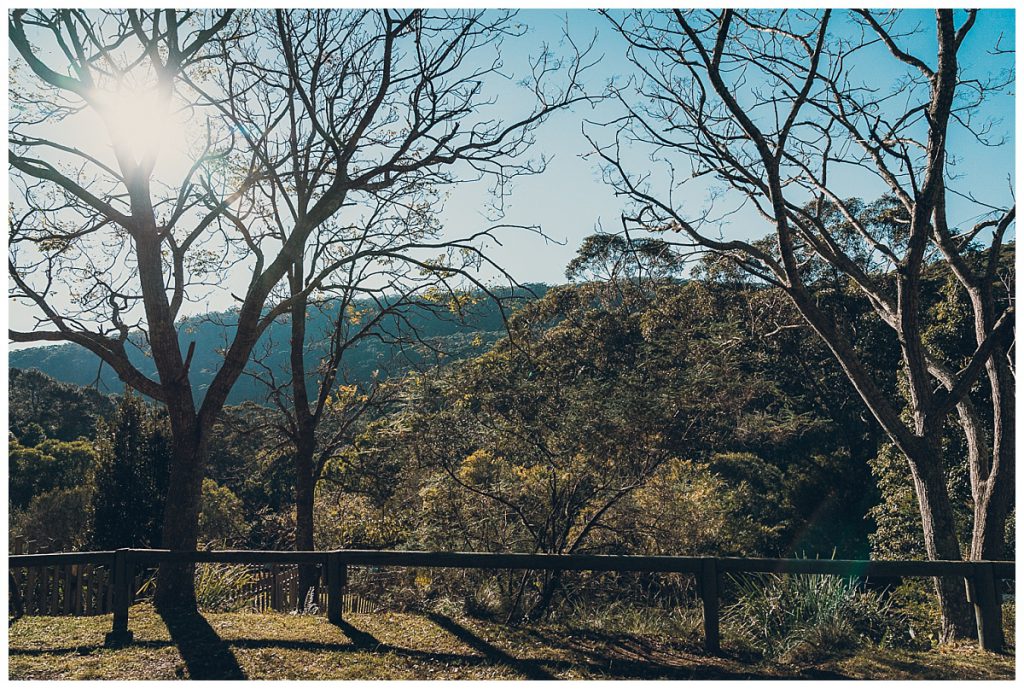 sunny-winter-day-in-Royal-National-Park-photo
