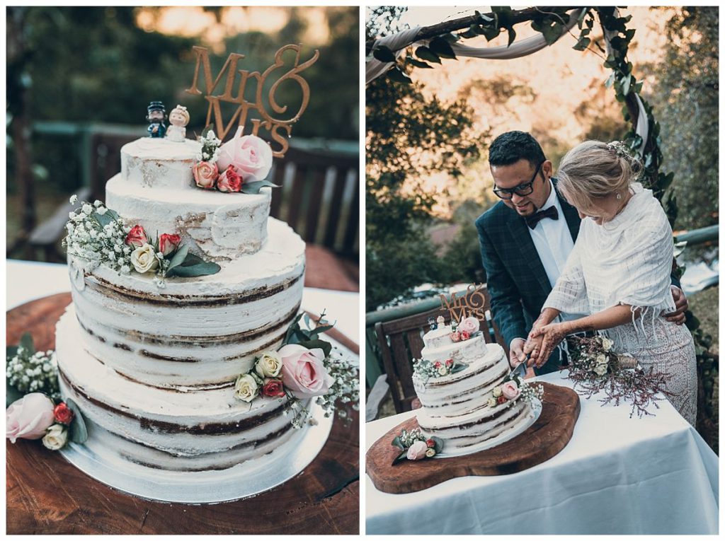 diy-wedding-cake-cutting-photo