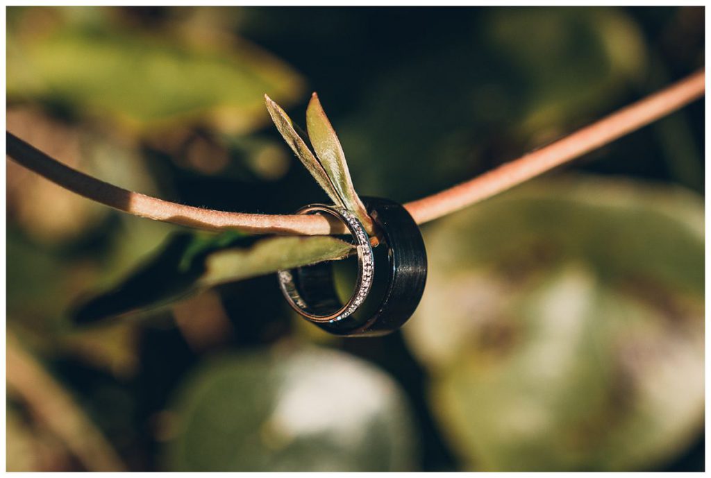 wedding-bands-photo