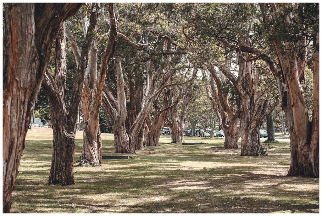 centennial-park-sydney-wedding-photo-and-video